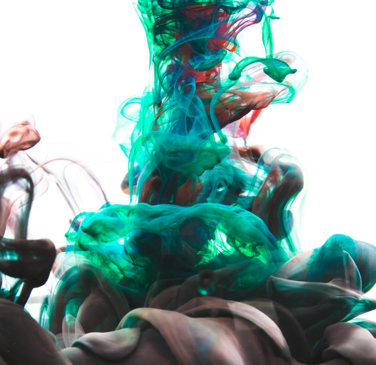 Latest News on Jennifer Sher Art