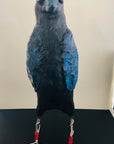 SOLD - Art Doll Blue Spirit Raven - Jennifer Sher Art